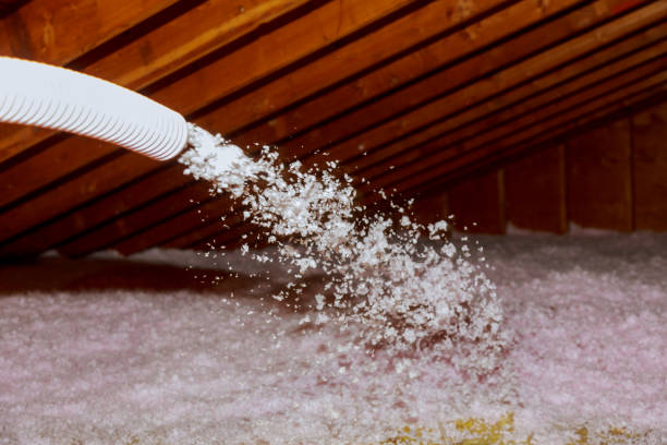 Best Local Insulation Services  in New Brockton, AL